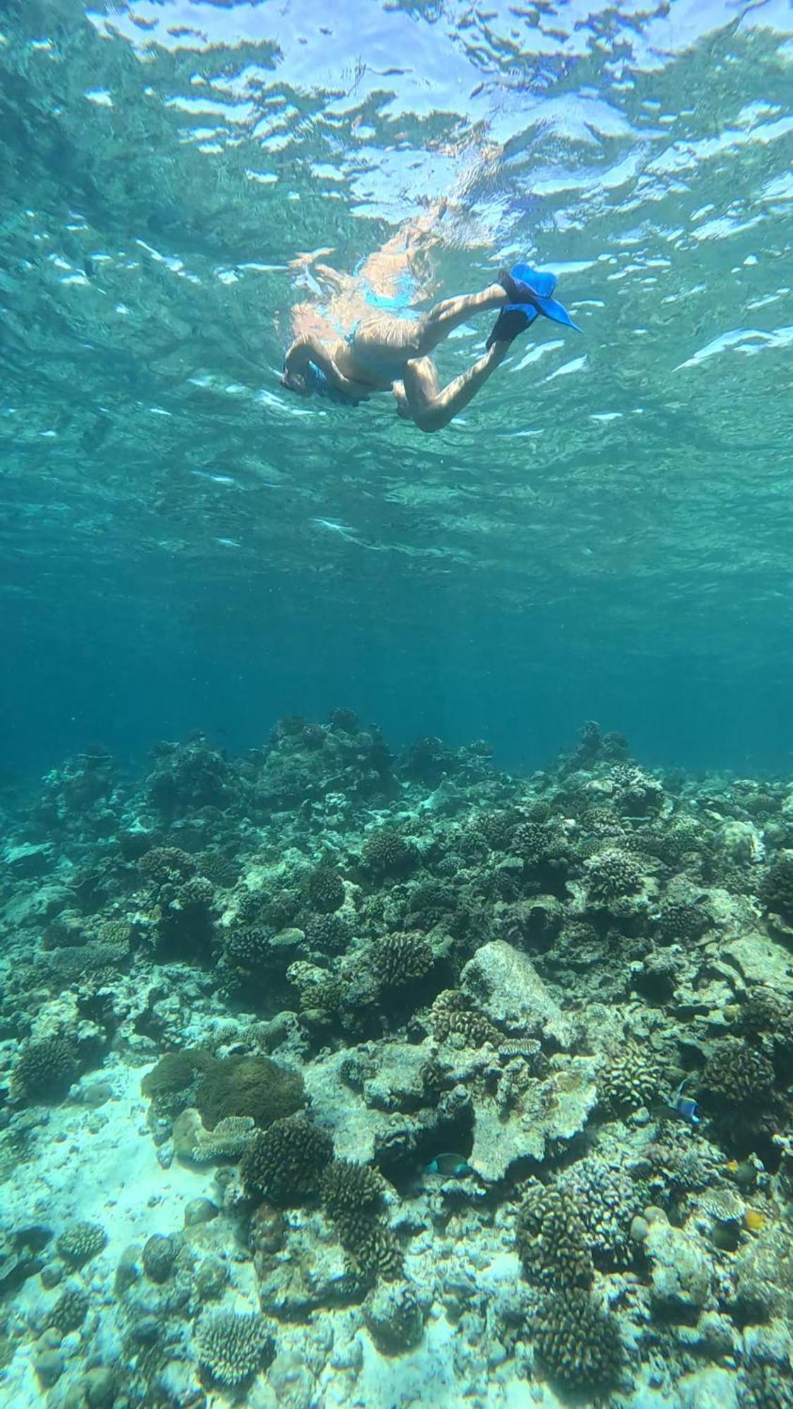 Hudhuvelimaldives Hotell Omadhoo Eksteriør bilde