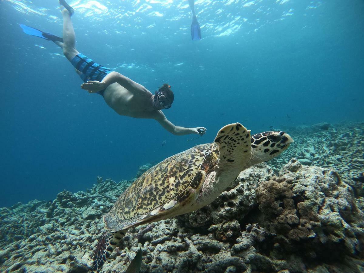 Hudhuvelimaldives Hotell Omadhoo Eksteriør bilde